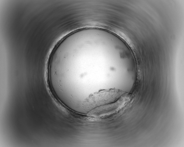X0000096951136200802221317