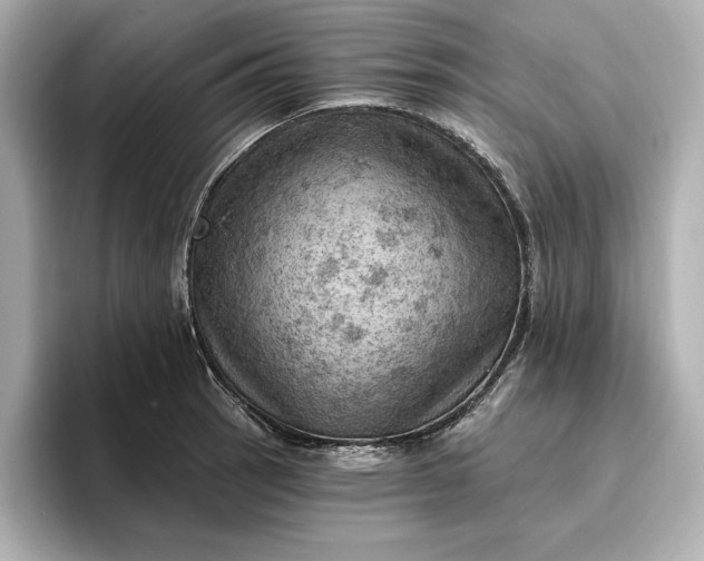 X0000096951137200802221317
