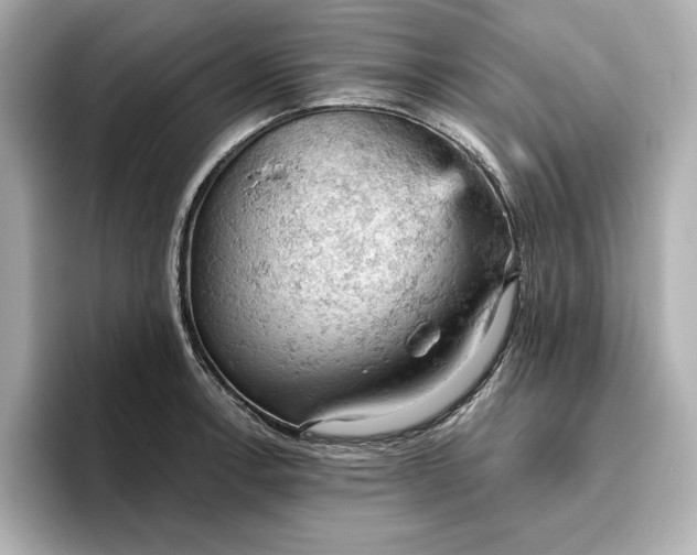X0000096951138200802221317