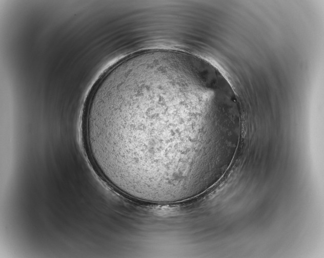 X0000096951139200802221317