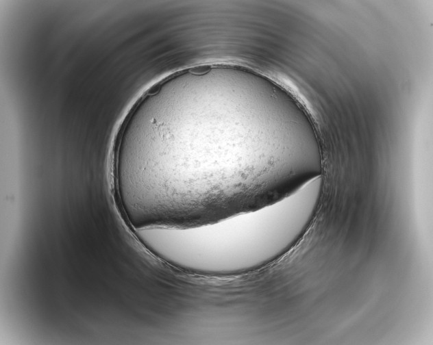 X0000096951140200802221317