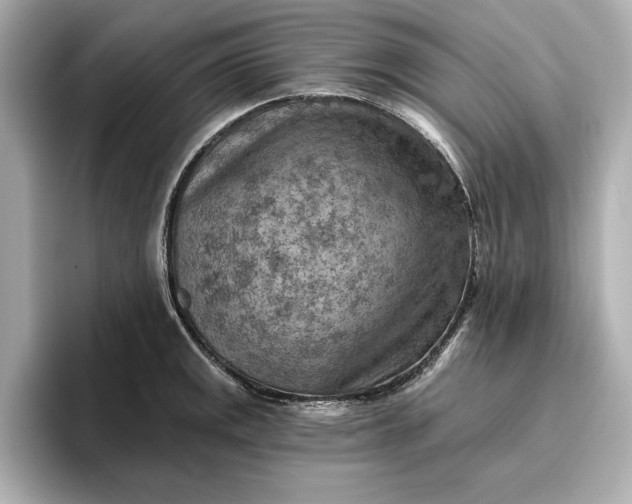 X0000096951141200802221317