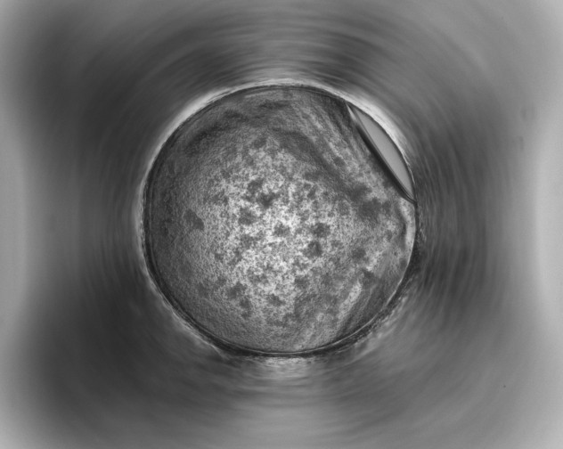 X0000096951142200802221317
