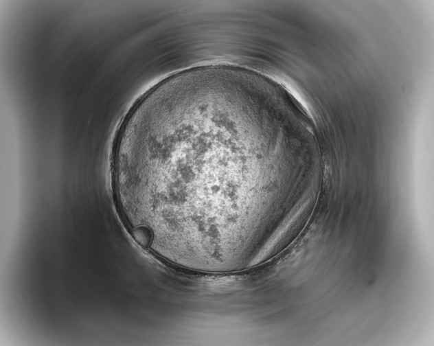 X0000096951143200802221317