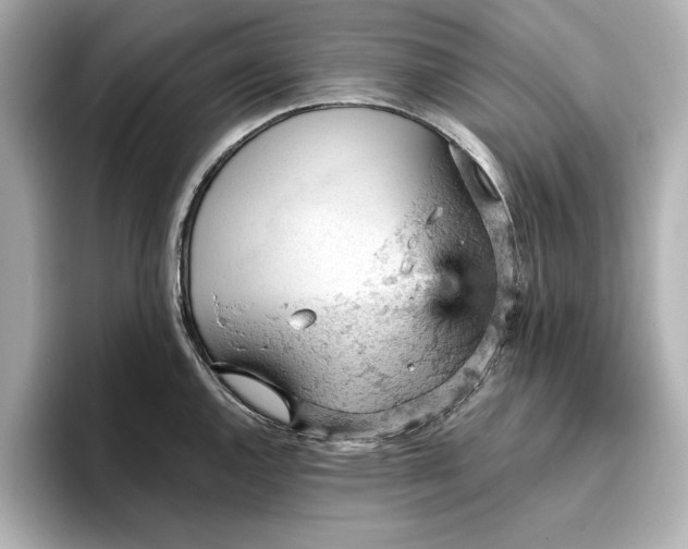 X0000096951144200802221317