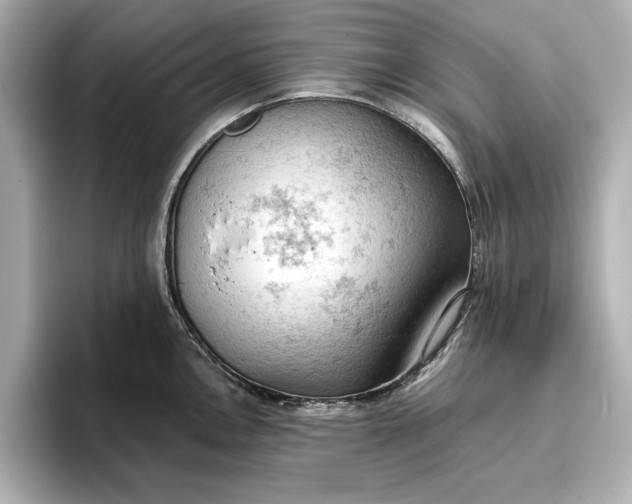X0000096951146200802221317