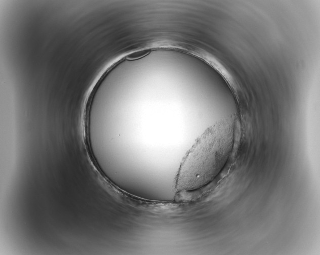 X0000096951148200802221317