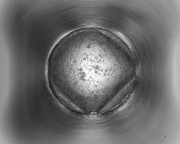 X0000096951149200802221317