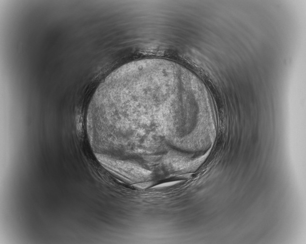 X0000096951154200802221316
