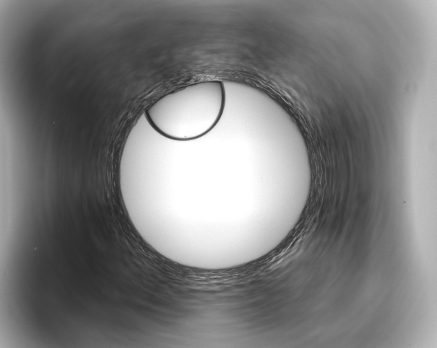 X0000096951156200802221316