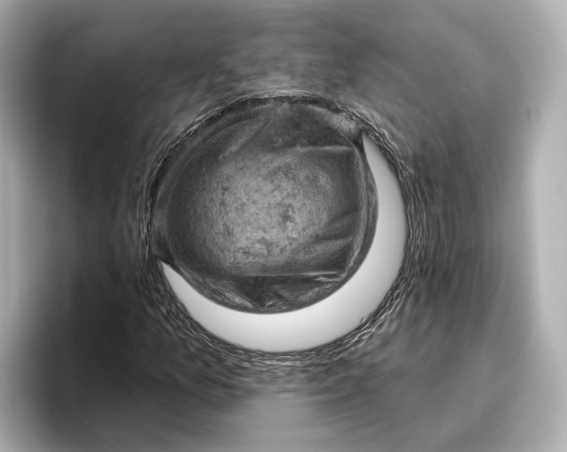 X0000096951157200802221316