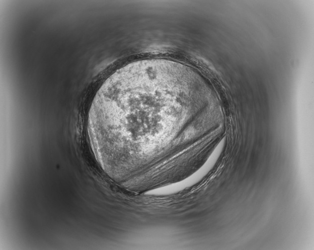 X0000096951158200802221316