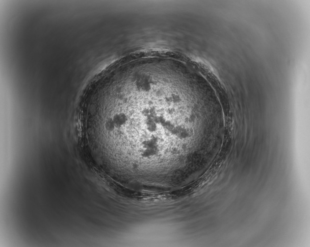 X0000096951159200802221316