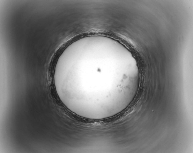 X0000096951160200802221316