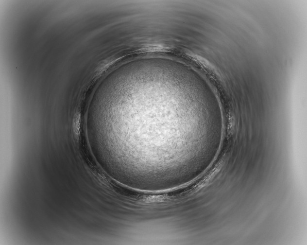 X0000096951161200802221316