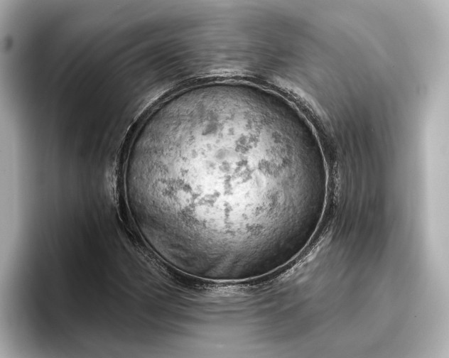 X0000096951162200802221316