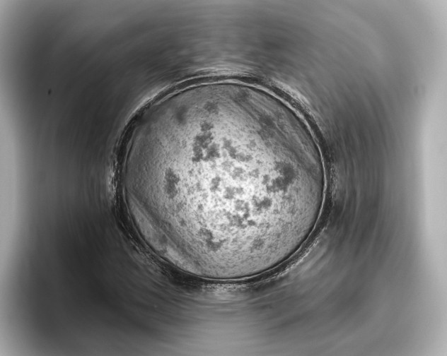 X0000096951163200802221316