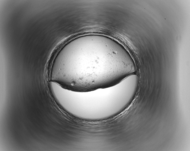 X0000096951164200802221316