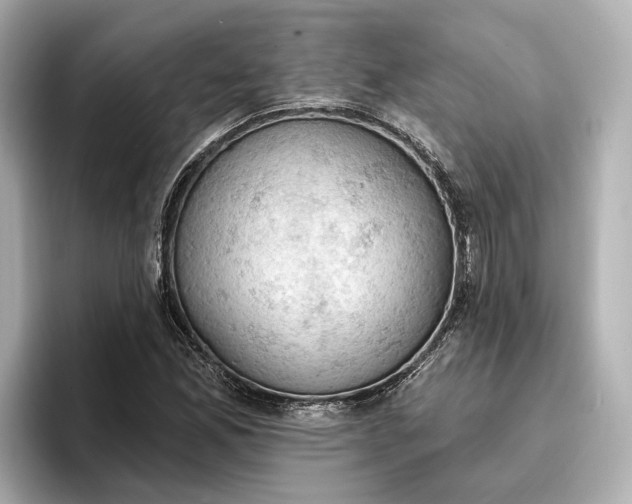 X0000096951165200802221316