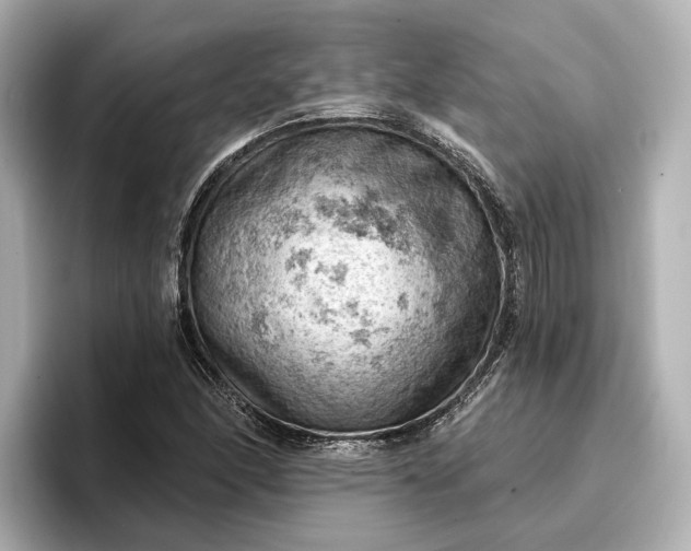 X0000096951166200802221316