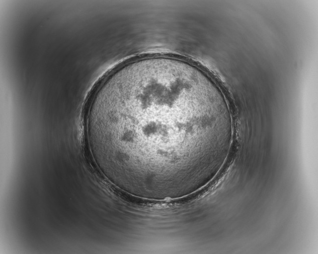 X0000096951167200802221316