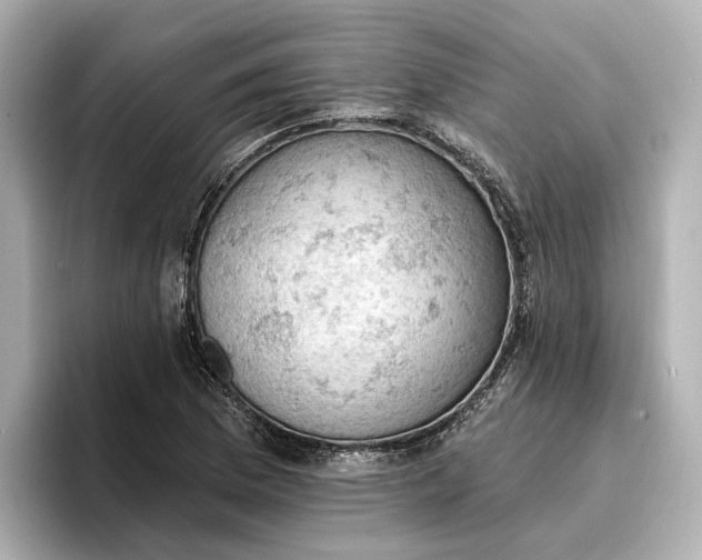 X0000096951169200802221316