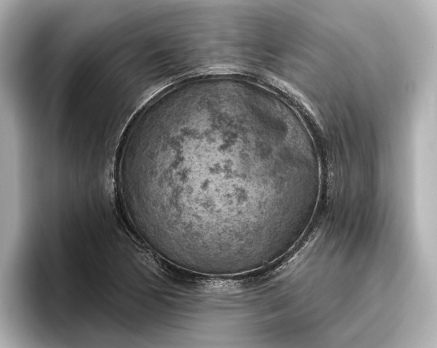 X0000096951170200802221316