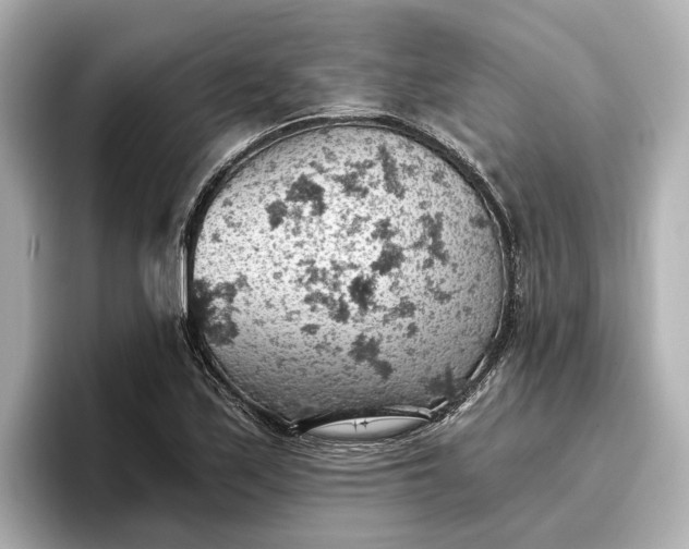 X0000096951171200802221316