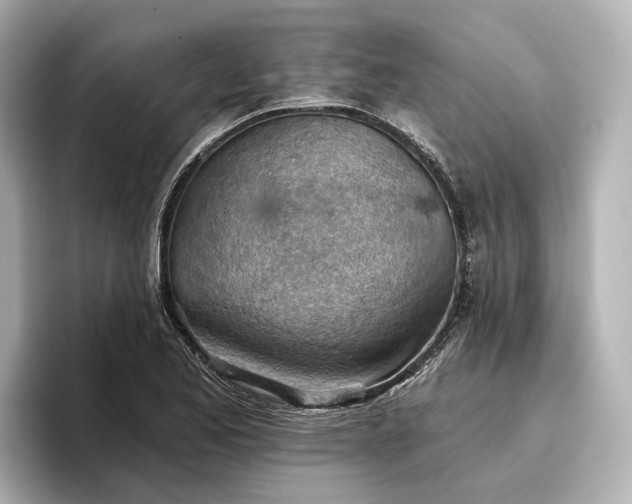 X0000096951173200802221316
