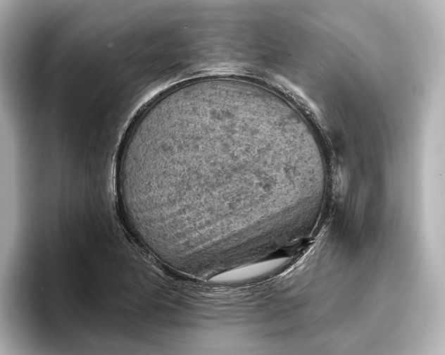 X0000096951174200802221316