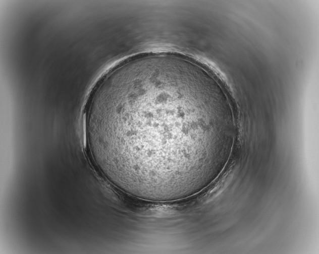 X0000096951175200802221316