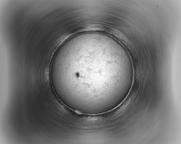 X0000096951177200802221316