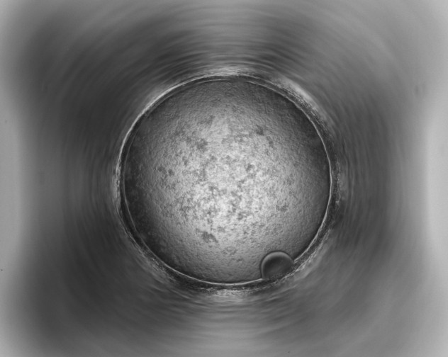 X0000096951178200802221316