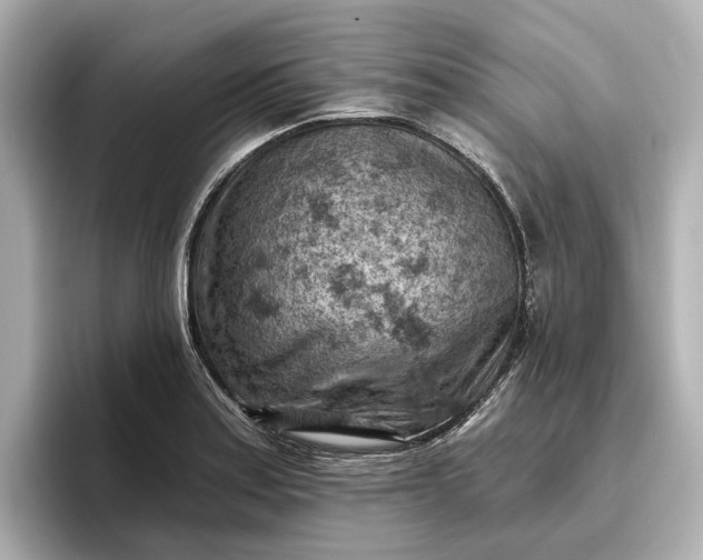 X0000096951179200802221316