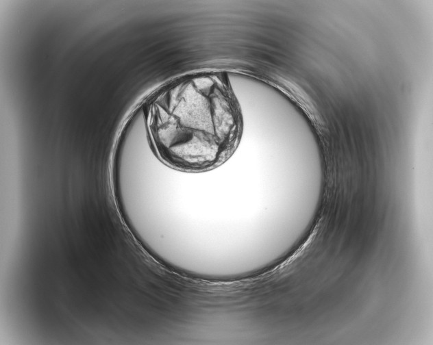 X0000096951180200802221316