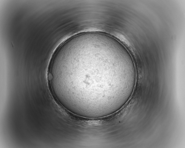 X0000096951181200802221316