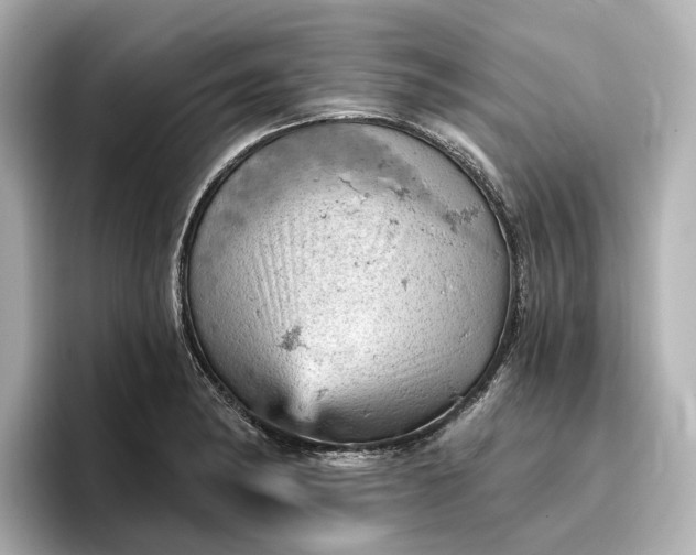 X0000096951182200802221316