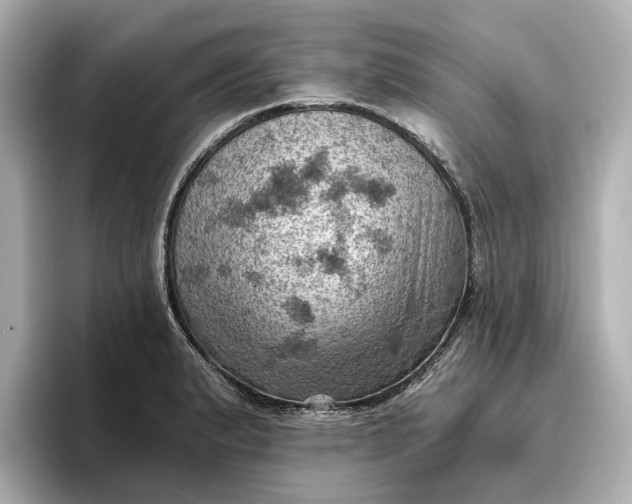 X0000096951183200802221316