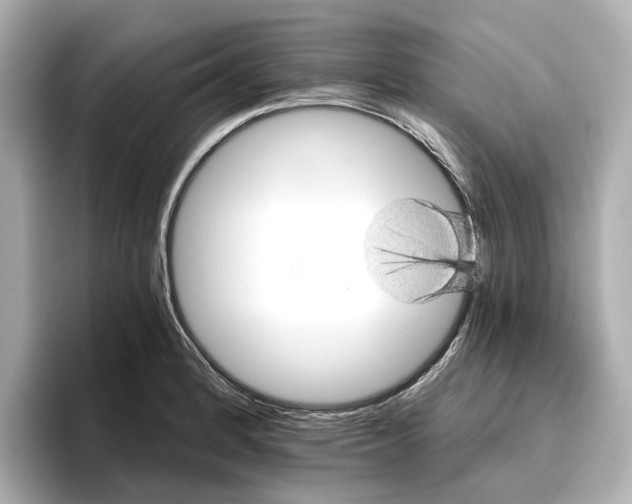 X0000096951184200802221316