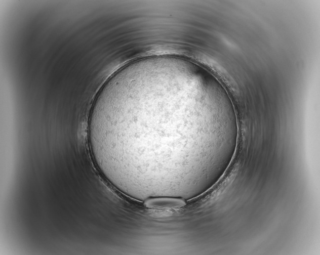 X0000096951185200802221316