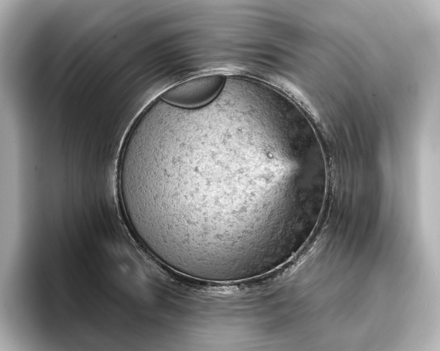 X0000096951186200802221316
