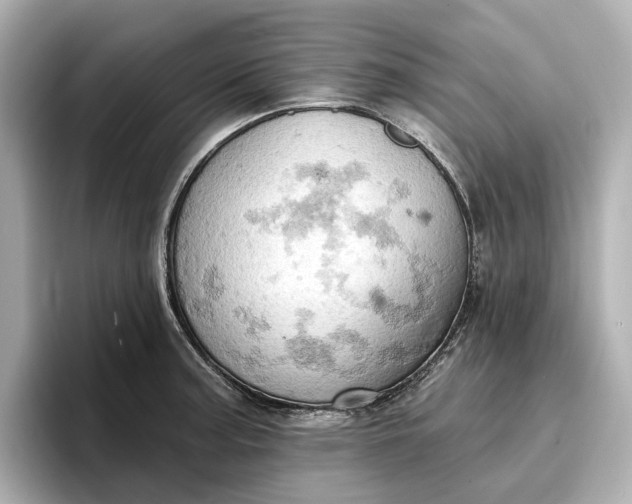 X0000096951187200802221316