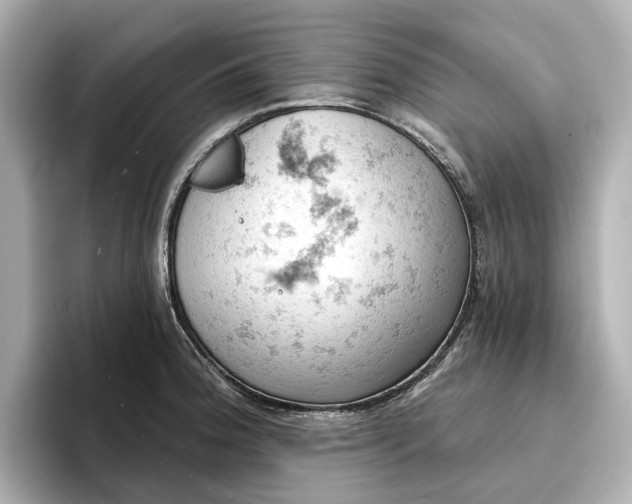 X0000096951188200802221316
