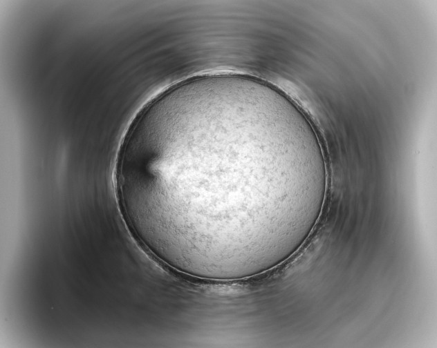 X0000096951189200802221316