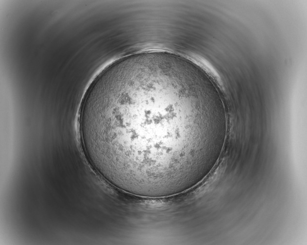 X0000096951190200802221316