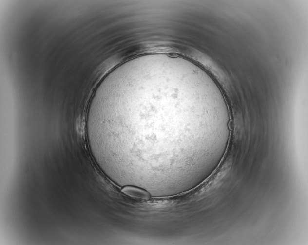 X0000096951193200802221316