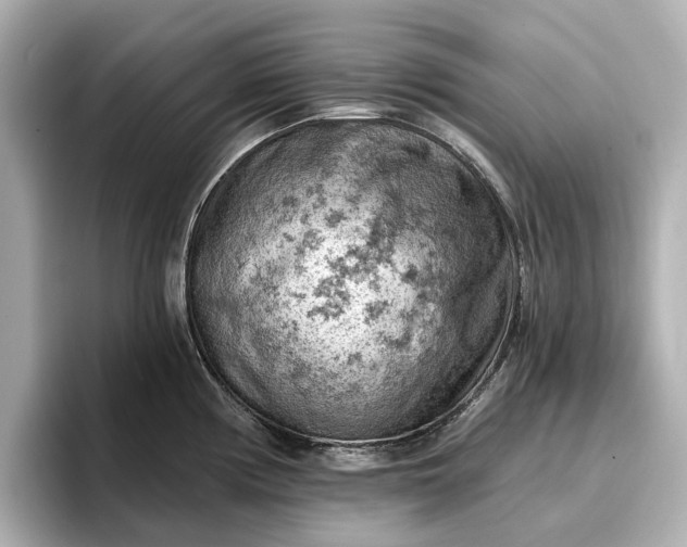 X0000096951194200802221316