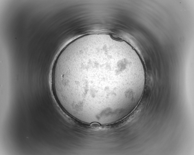 X0000096951195200802221316