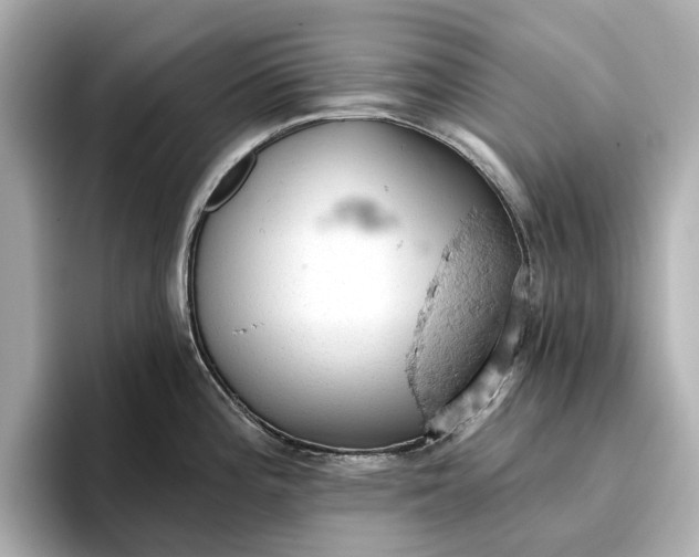X0000096951196200802221316
