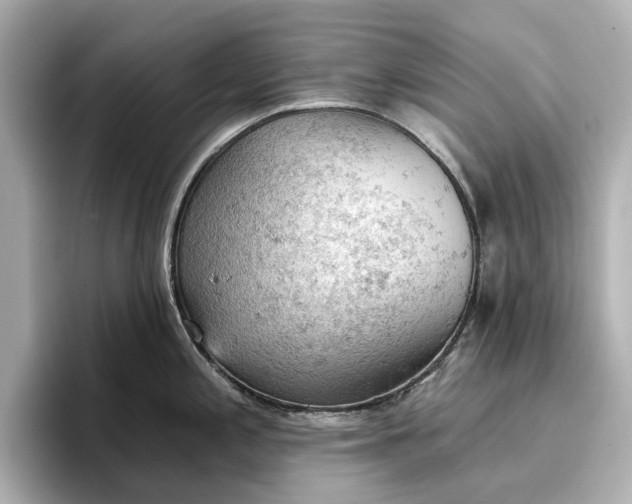 X0000096951197200802221316